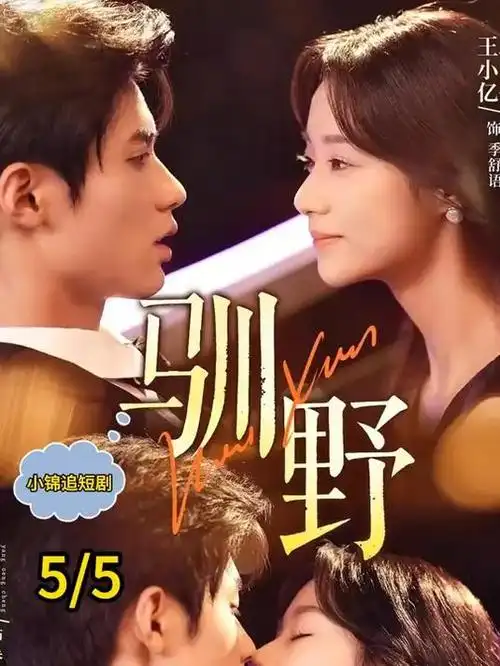 胡同里的冬天 京味家庭剧全集免费观看